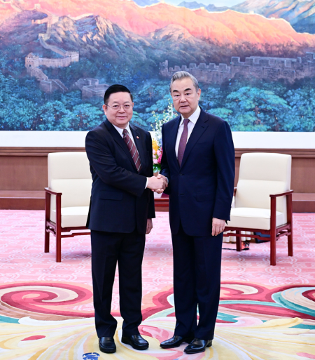王毅会见东盟秘书长高金洪1